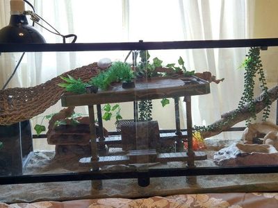 Reptile tank XL and equipment