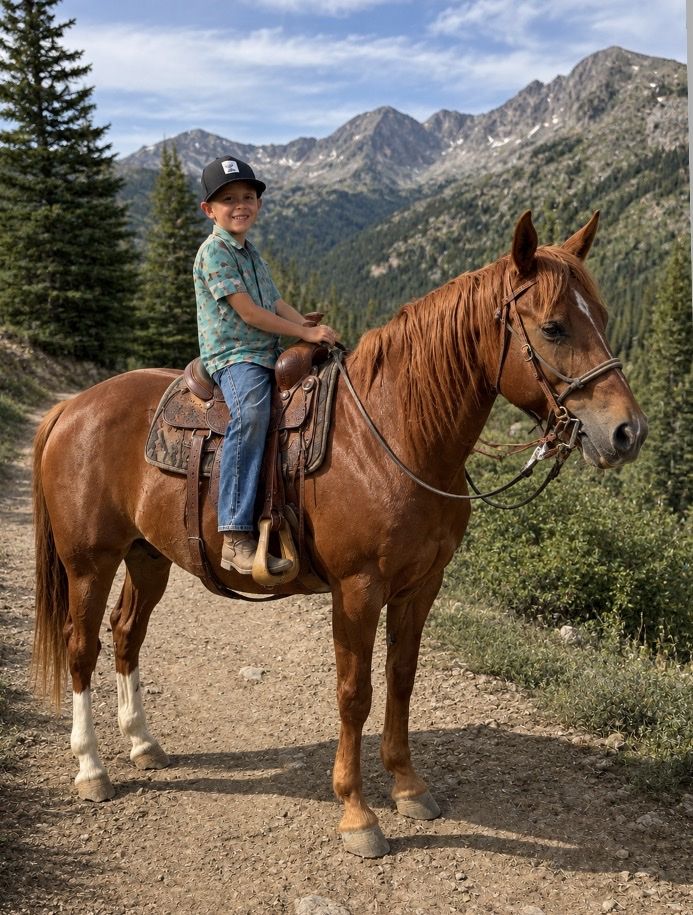 16yo Missouri Foxtrotter gaited