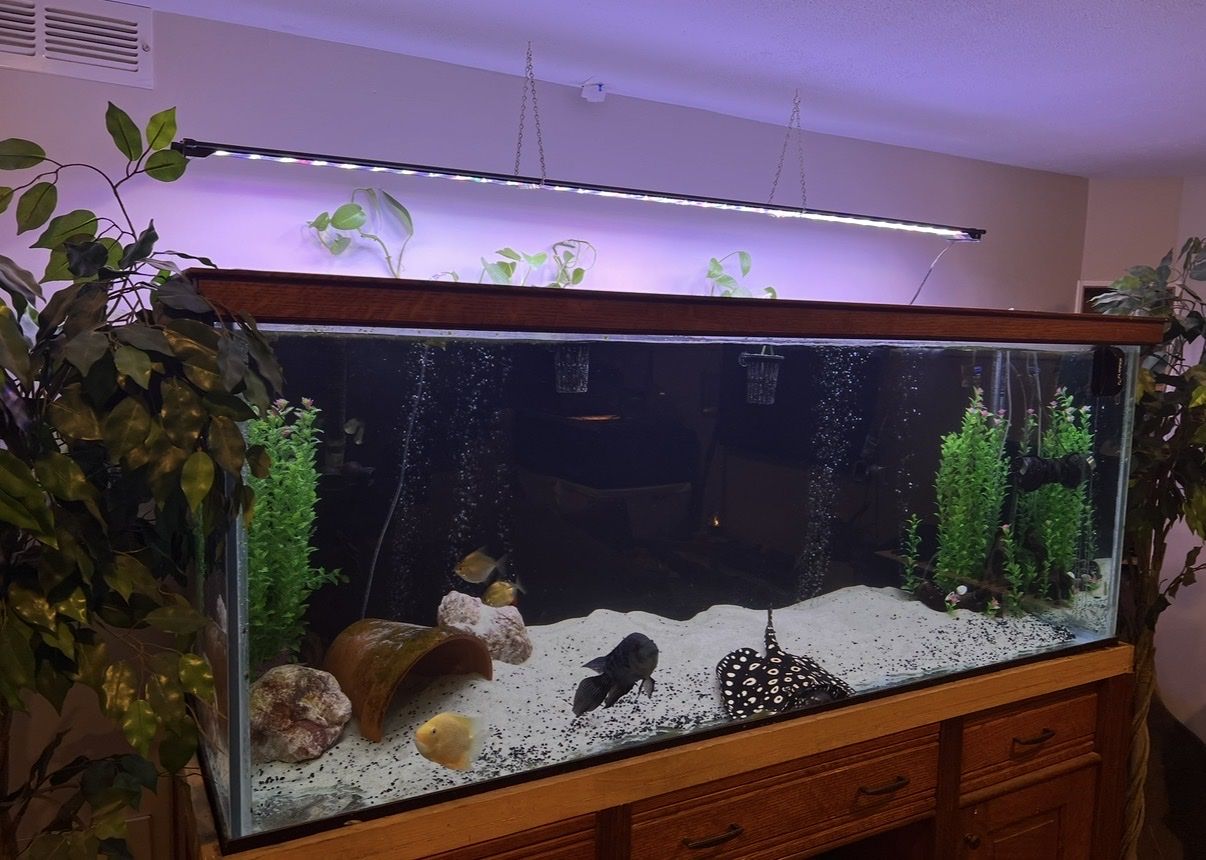Main image 5