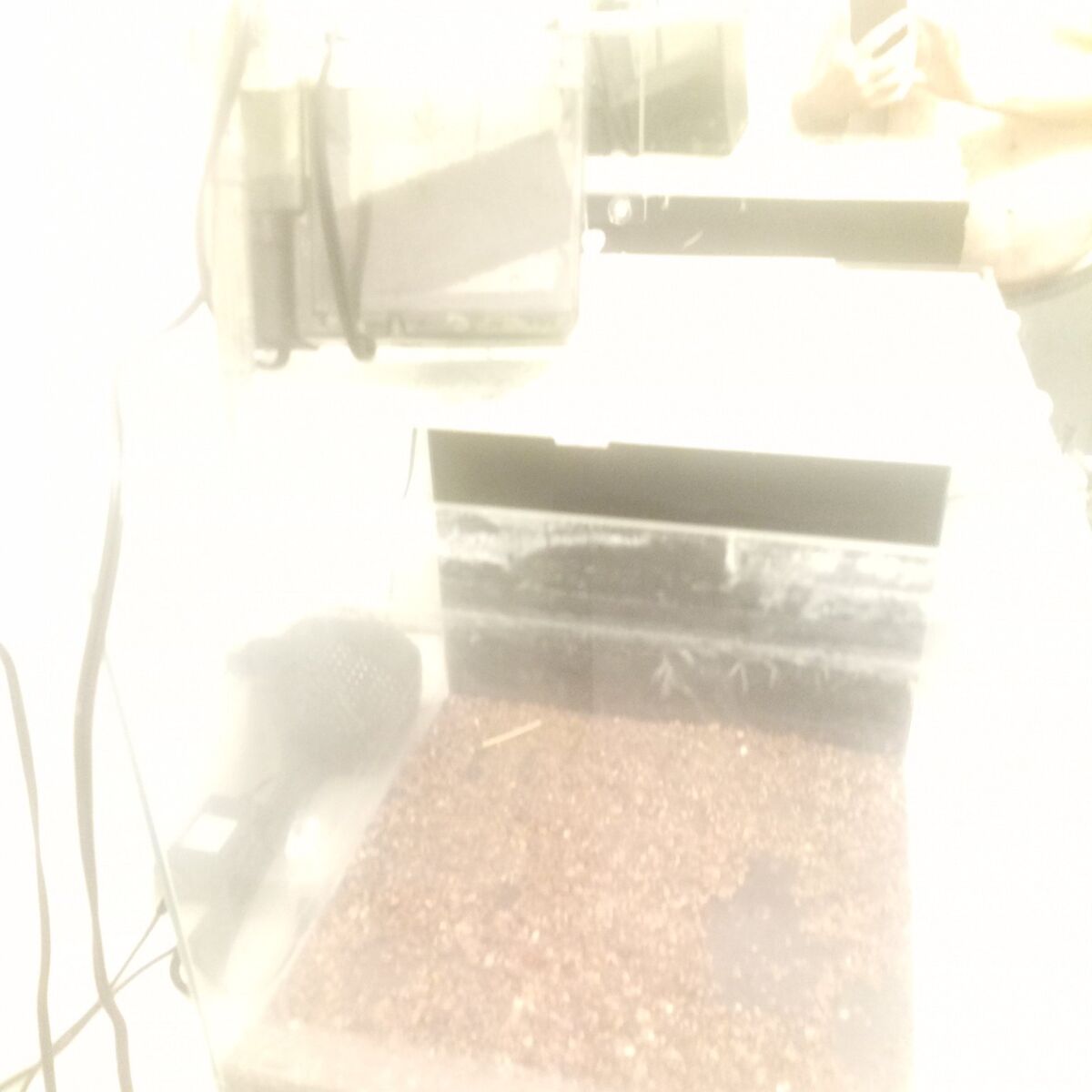 14 gal cube aquarium