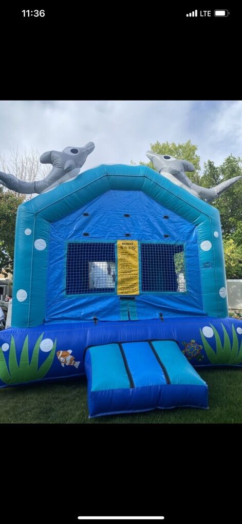 Inflatable Trampoline
