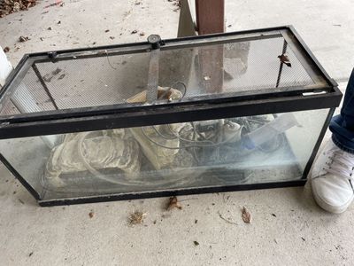 Turtle Tank Starter Kit