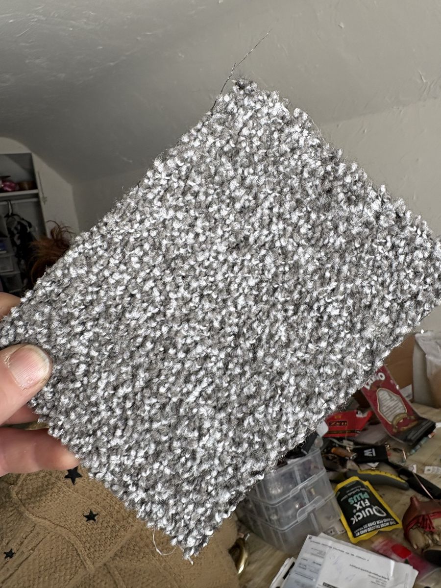 Brand new carpet perfect for rentals professional