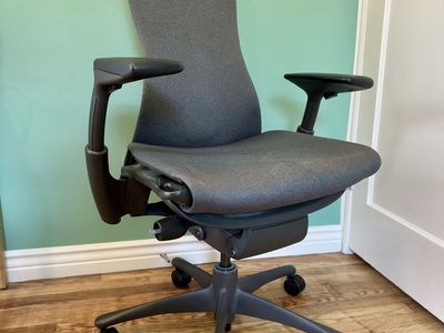 Herman Miller Embody Chair