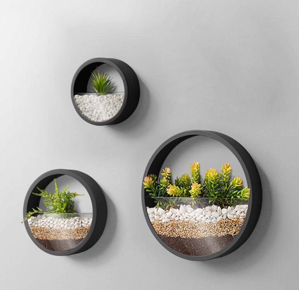 Circle Wall Planters 3 Pack Set Round Wall Planter