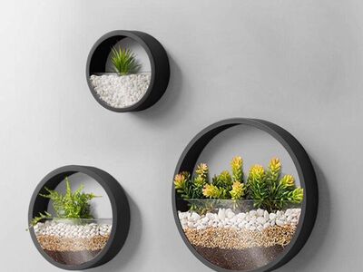 Circle Wall Planters 3 Pack Set Round Wall Planter