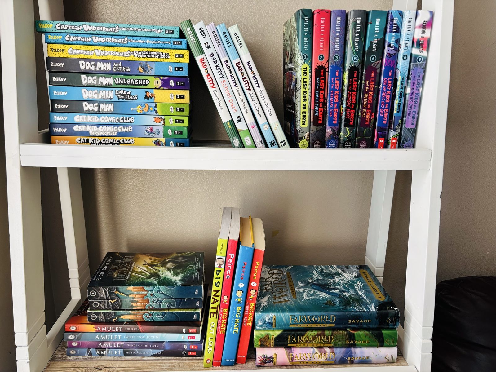 Dog Man, Vimpy Kid, Dr Seuss, Last Kid on Earth & more books