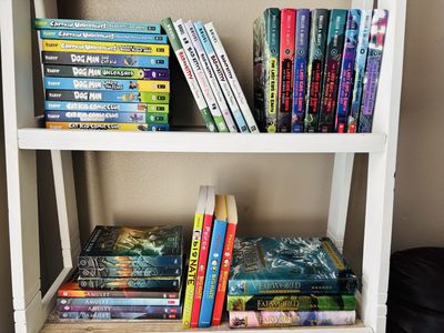 Dog Man, Vimpy Kid, Dr Seuss, Last Kid on Earth & more books