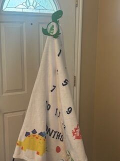 Dinosaur Baby Milestone Marker Blanket – Like New
