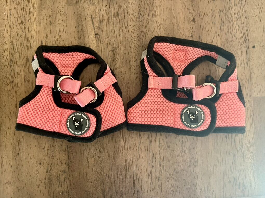 XXS and XS puppy harnesses