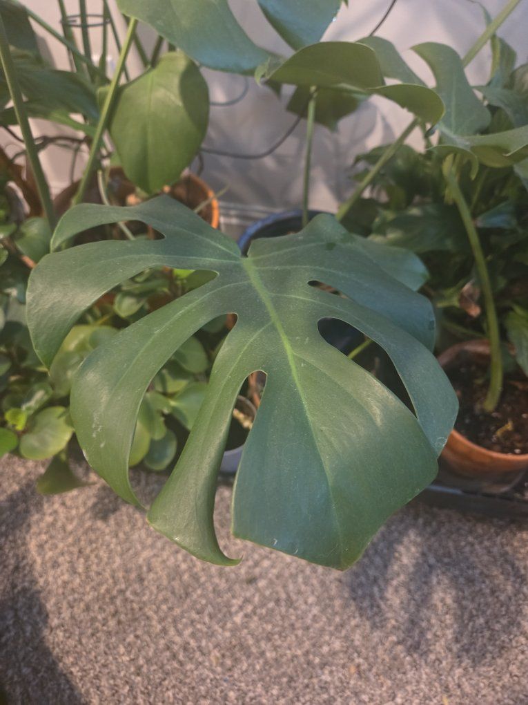 Main image 7