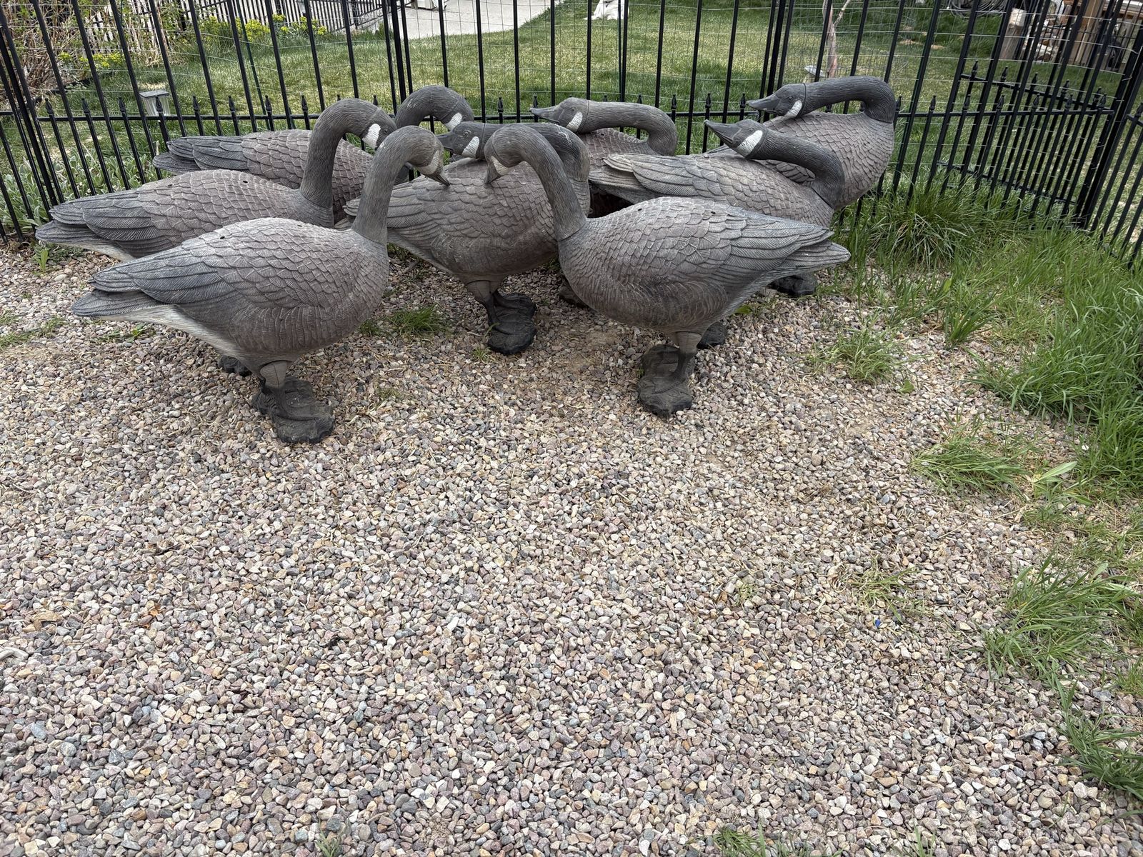 Canadian Geese Decoys