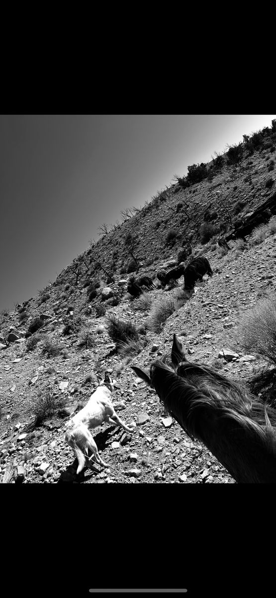 ISO TRADE SUMMER RANGE FOR WINTER RANGE