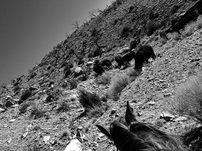 ISO TRADE SUMMER RANGE FOR WINTER RANGE