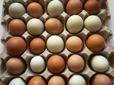 Chicken Eggs - $4/dozen