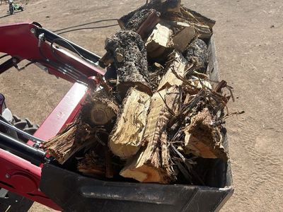 Firewood