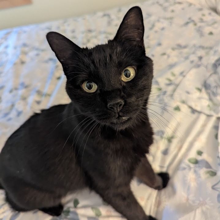 Hello my name is Prince