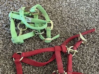 Mini / Foal Halters