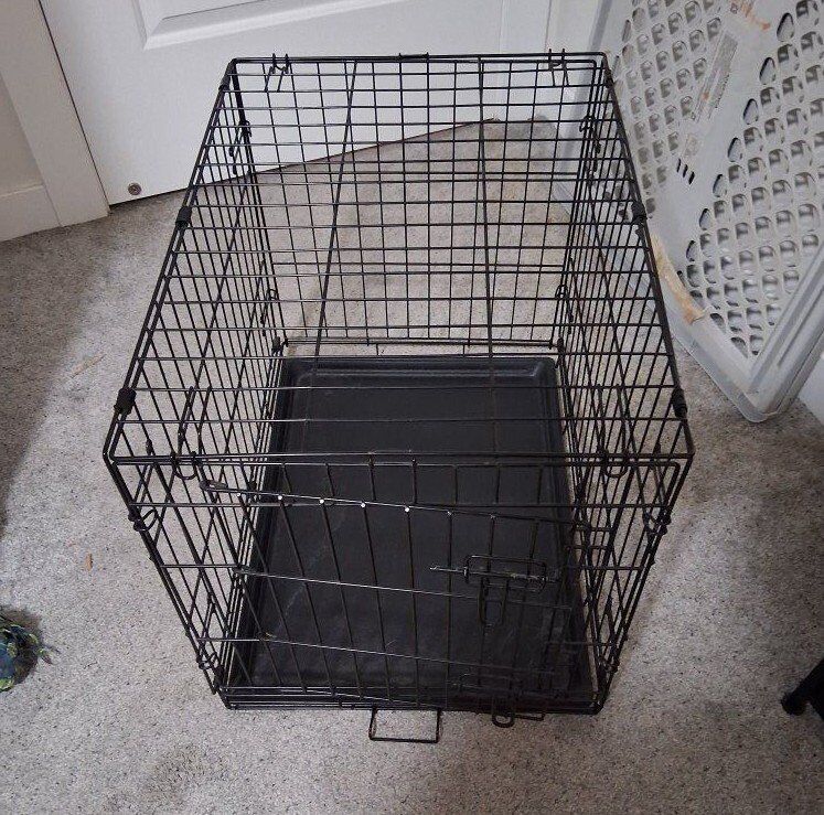 Medium dog kennel