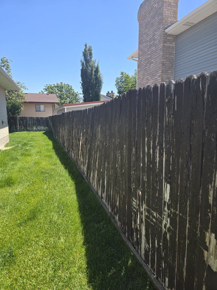 Free cedar fence if you take it down