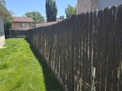 Free cedar fence if you take it down