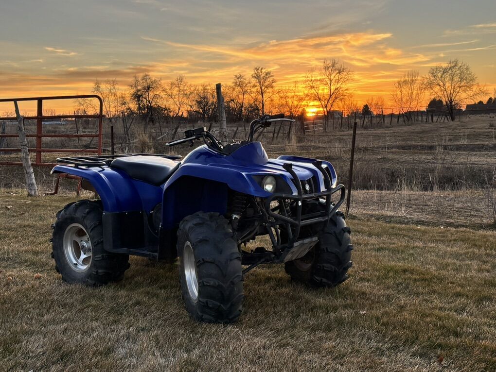 2006 Yamaha Bruin 350 2x4