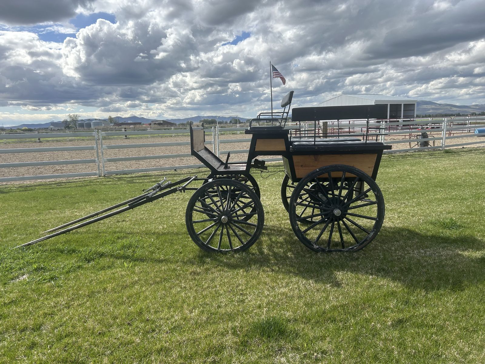 Horse-Drawn Carriage Project