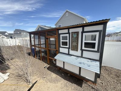 ChIcken Coop, run, Feeders, 13 Chickens And etc