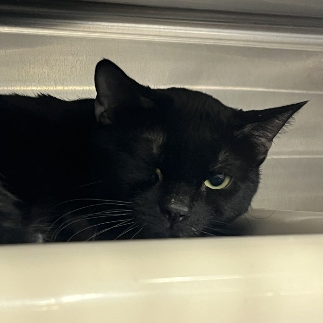 Hello my name is Tourmaline