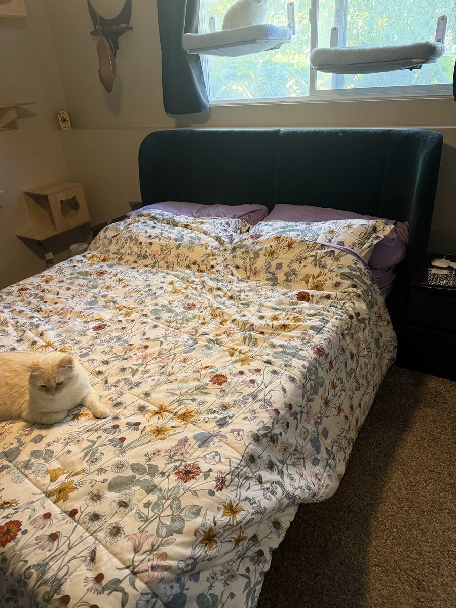 Queen mattress and bed frame