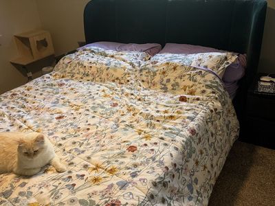 Queen mattress and bed frame