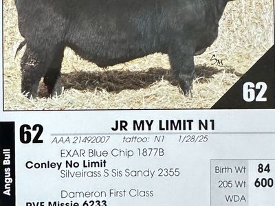 Simmental, SimAngus, Angus Bulls