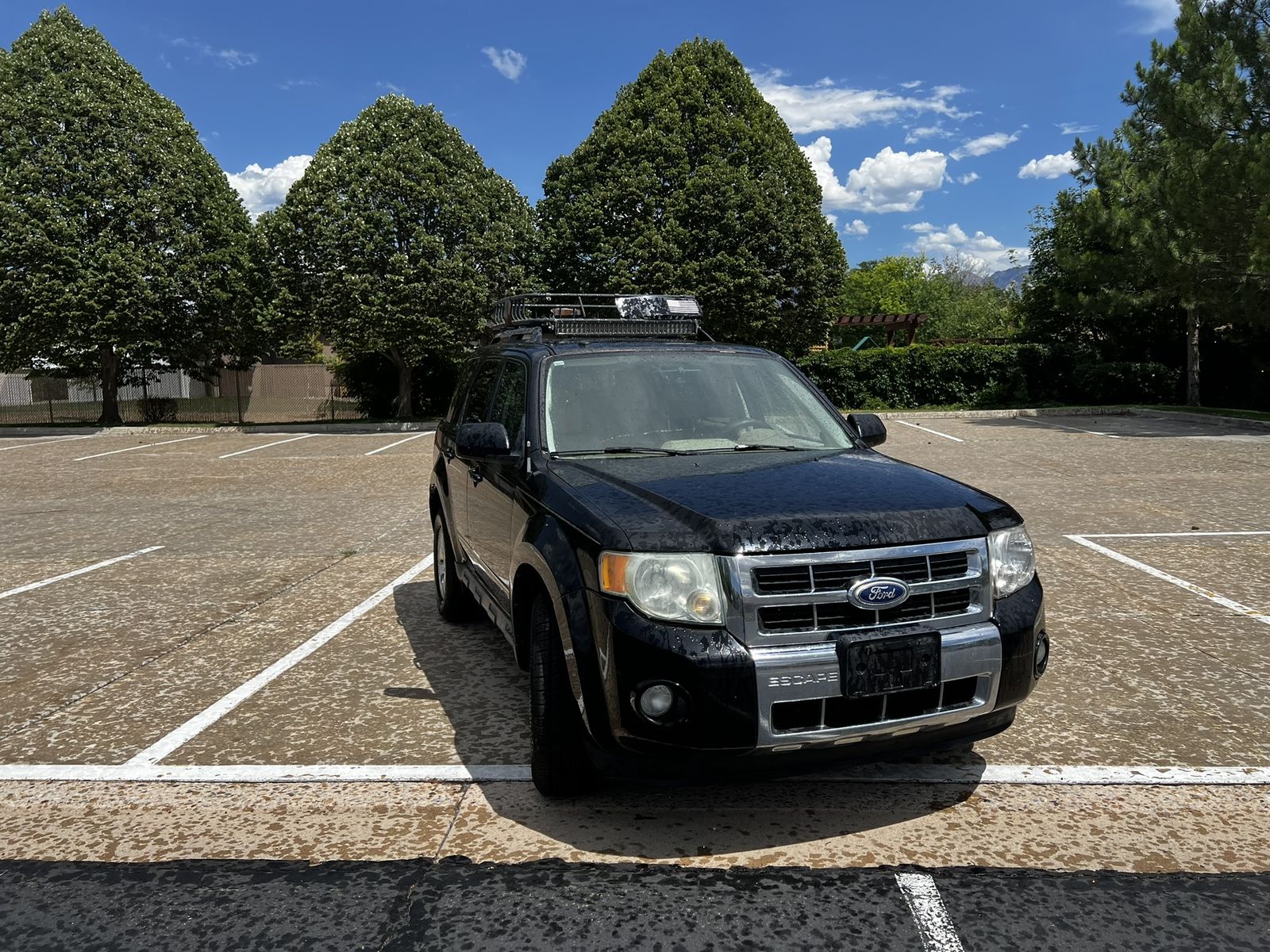 2010 Ford Escape Limited