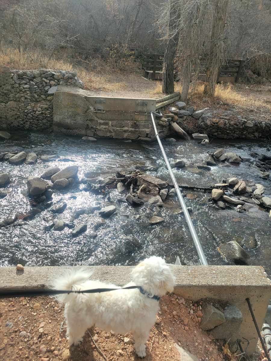 Main image 5