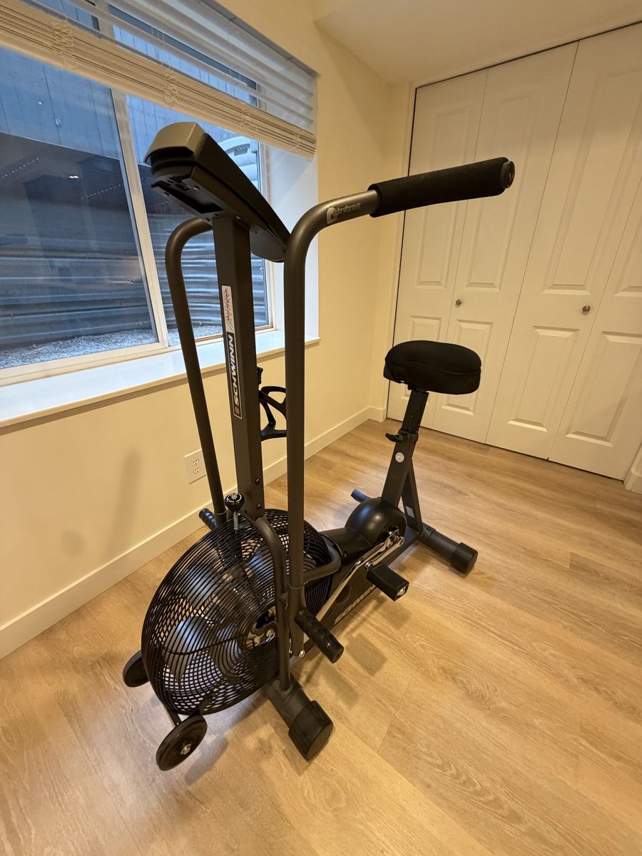 Schwinn Airdyne