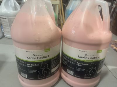 2 Gallons Kaolin Pectin 4 - Animal Anti Diarrheal