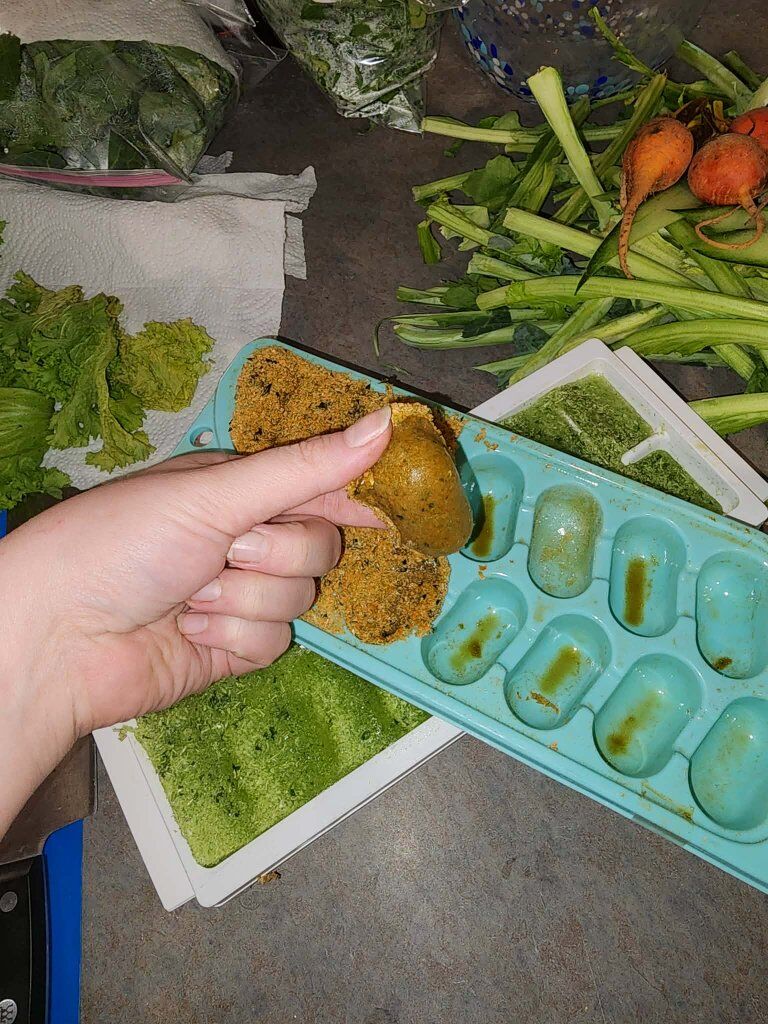 Frozen Gut loading Dubia cricket reptile