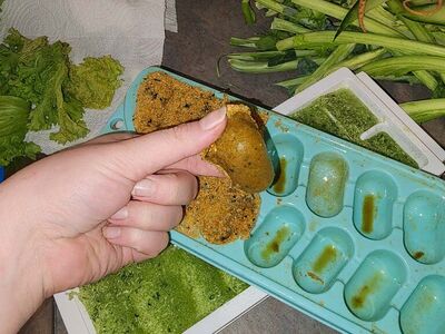 Frozen Gut loading Dubia cricket reptile