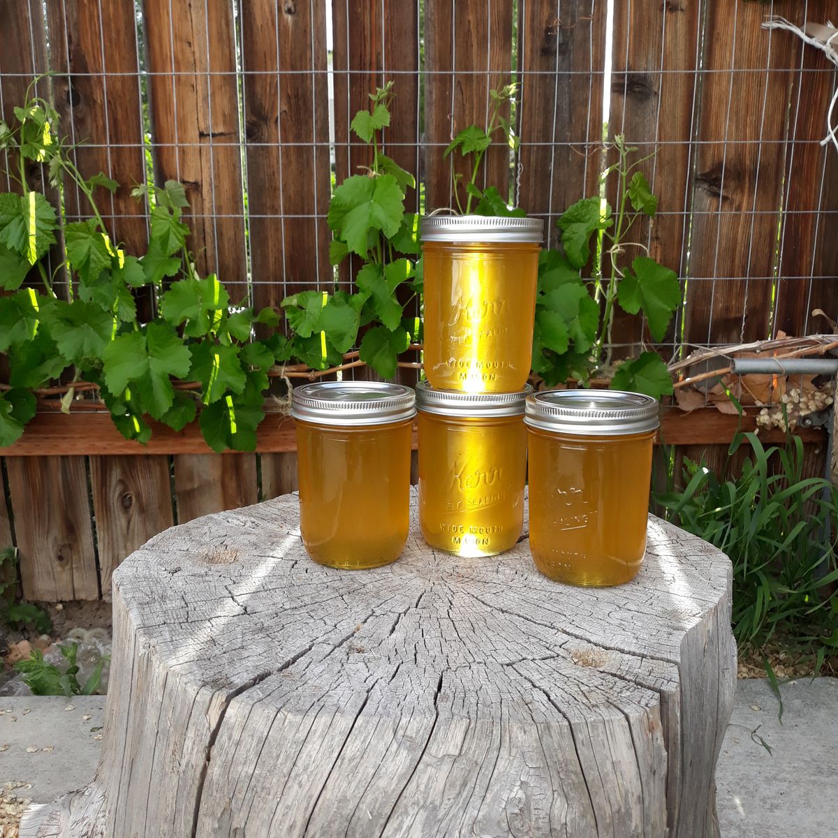 Raw Local Honey