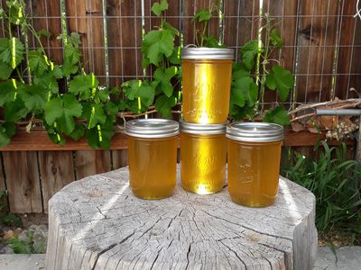 Raw Local Honey
