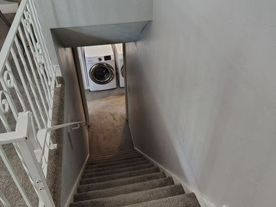 Male roommate wanted