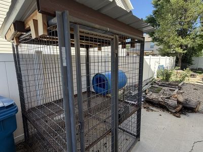Custom Welded Steel Elevated Dog Kennel with Roof and Attached Dog House