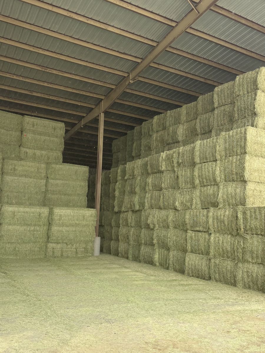 Alfalfa Bales