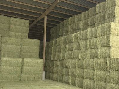 Alfalfa Bales