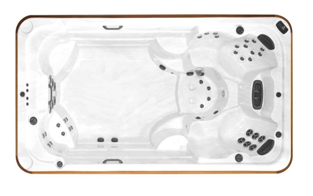 2023 Arctic Spas Ocean Swim Spa -Salt System +More