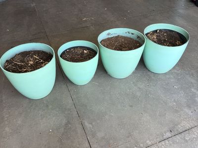 Flower pots