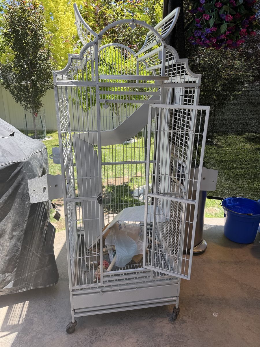 5’ Bird Cage