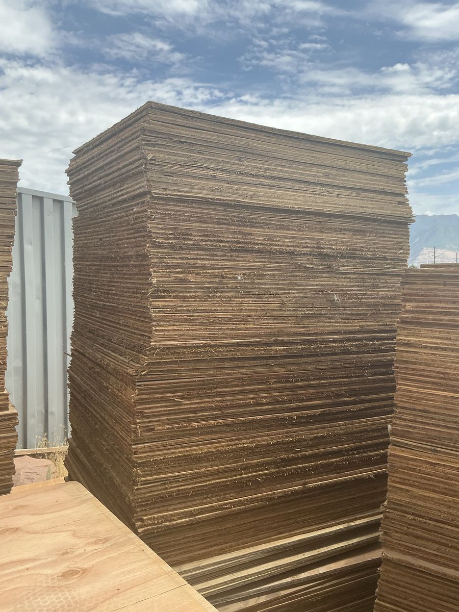Pressure treated plywood