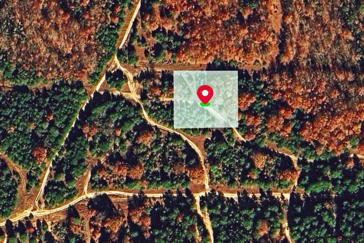 Main image 3