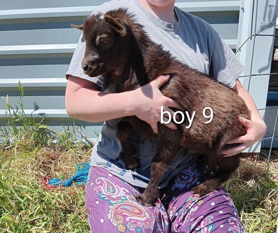 Main image 13